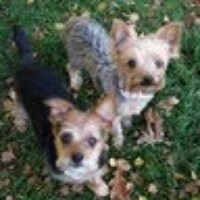 Miki Wakai - Quora Profile Picture of Miki Wakai (@miki-wakai) on Quora