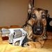 Profile Picture of Darryl Goode (@darrylgoode) on Pinterest