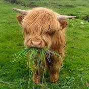 Profile Picture of Patrick Kirchner (@patrickkirchner2416) on Youtube