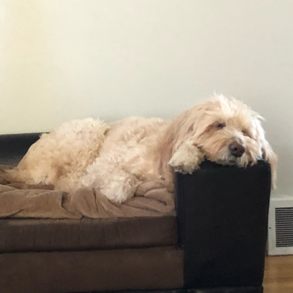 Profile Picture of Robin Dozer (@rdozer) on Poshmark