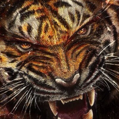 Christian McNally - Twitter Profile Picture of Christian McNally (@mcnally_17) on Twitter