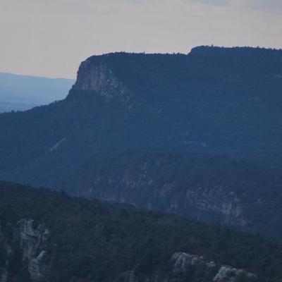 Profile Picture of Martin Weiner (@Mhmtnwe) on Twitter