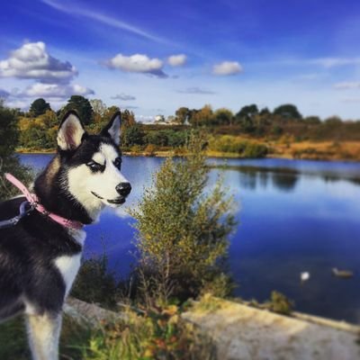 Profile Picture of Kane  Mitchell (@Kano_Sufc37) on Twitter