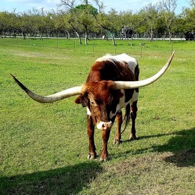 Profile Picture of Juan Ortiz (@juan_ortiz33) on Twitter