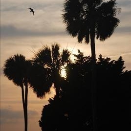 Peter Baruzzi - Myspace Profile Picture of Peter Baruzzi (@313739928) on Myspace