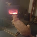 Profile Picture of Danny Therrien (@therrien.danny) on Instagram