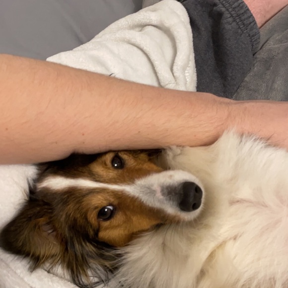 Profile Picture of Randy Stover (@randy_stover) on Poshmark