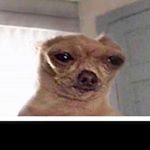 Profile Picture of Andrew (@plumleyandrew4) on Instagram