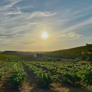 Greg Coldwell - Instagram Profile Picture of Greg Coldwell (@greg.coldwell) on Instagram