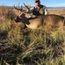 Profile Picture of Patrick Anstine (@patrick.anstine.37) on Facebook