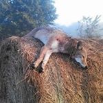 Profile Picture of David Hightower (@dhightower3441) on Instagram