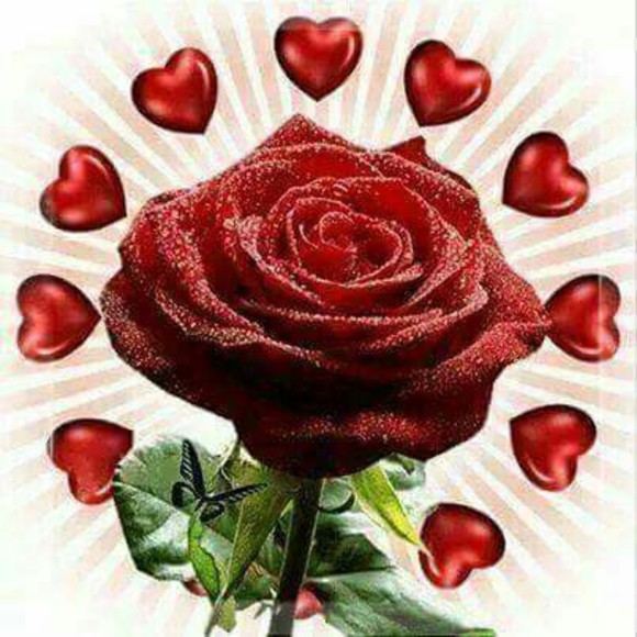 Profile Picture of Rosa Torrez (@linom384) on Poshmark