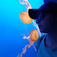 Profile Picture of Jaclyn Schneider (@jaclyn-schneider-7) on Quora