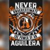 Profile Picture of FRANK AGUILERA 14 (@@frankaguilera14) on Tiktok