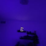 Profile Picture of Eli Schultze (@eli_schultze) on Instagram