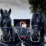 Profile Picture of Jayne Patterson Roulston (@pattersonroulston) on Instagram