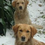 Malcolm Barker - Instagram Profile Picture of Malcolm Barker (@malcolm.barker.73) on Instagram