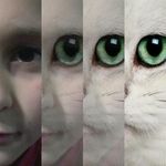 Profile Picture of Jared, Steven, Paul, Quesnel (@jjq2006) on Instagram