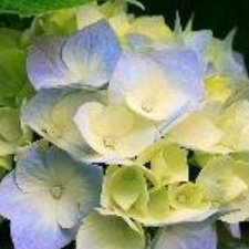 Profile Picture of زيادة متابعين (@chasityparks681) on Twitter