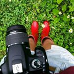 Profile Picture of Lily-Anne Trainor (@tiger_lily_9) on Instagram