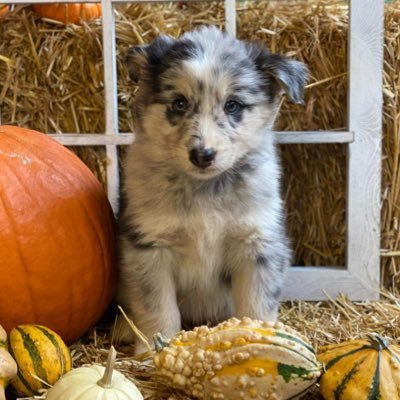 Profile Picture of Beth (@Beth_and_Baer) on Twitter