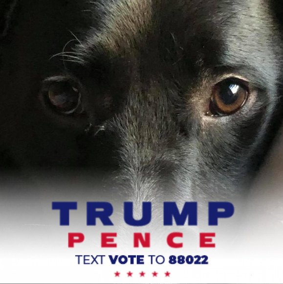 Profile Picture of Andrew Morgan (@bigcheeksmorgan) on Poshmark