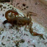 Profile Picture of David Scott Morrey (@davidmorrey) on Instagram