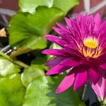 Profile Picture of Hellen Smith (@hellensmith718) on Instagram