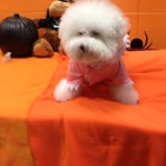 Profile Picture of Cassandra Aiken (@cassand1) on Instagram