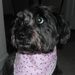 Profile Picture of Stella Schultz (@mamatschultz) on Pinterest