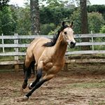 luis zubiate - Instagram Profile Picture of luis zubiate (@luis.azubiate) on Instagram