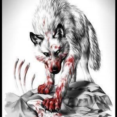 Profile Picture of Misty Wolfe (@WolfGirl4556) on Twitter