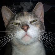 Profile Picture of Joseph Keenan (@JosephKeenanisme) on Youtube