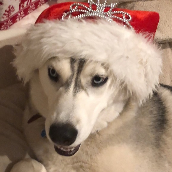 Profile Picture of Diane Daniels (@danielsfam1) on Poshmark