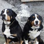 Profile Picture of kevin.roussel (@kevin.63100) on Instagram