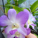 Profile Picture of Catherine Yeates (@Catherine-Yeates) on Facebook