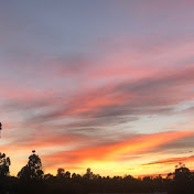 Profile Picture of Paula Lynn (@_paulalyn) on Youtube