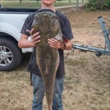 Profile Picture of Mike Mashburn (@mikemashburn3) on Twitter