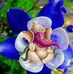 Profile Picture of Darshika Patel (@darshika.patel.393) on Facebook