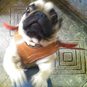 Profile Picture of Luis Fierros (@wereverfanLUIS) on Youtube