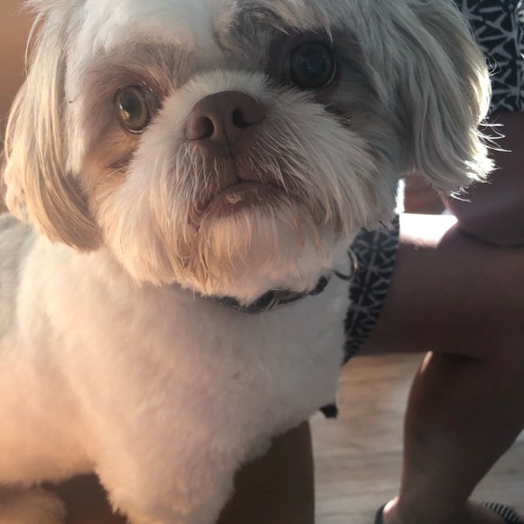 Profile Picture of Marilyn Rubner (@mdrubner) on Poshmark