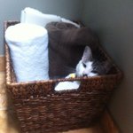 Profile Picture of bryce_morrow (@bryce_morrow) on Instagram