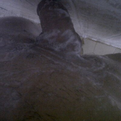 Profile Picture of Alejandro Falla (@alejandrofalla7) on Twitter
