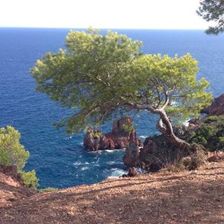 Profile Picture of Verna Monique (@monique.millet.31) on Facebook