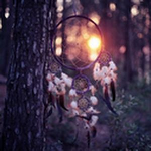 Profile Picture of devorahlieberman3 (@devorahlieberman3) on Tiktok