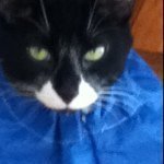 Profile Picture of Jacob Crank (@catg03sm0w) on Instagram