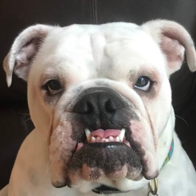 Profile Picture of Darrell Douglas (@DarrellDouglas) on Twitter