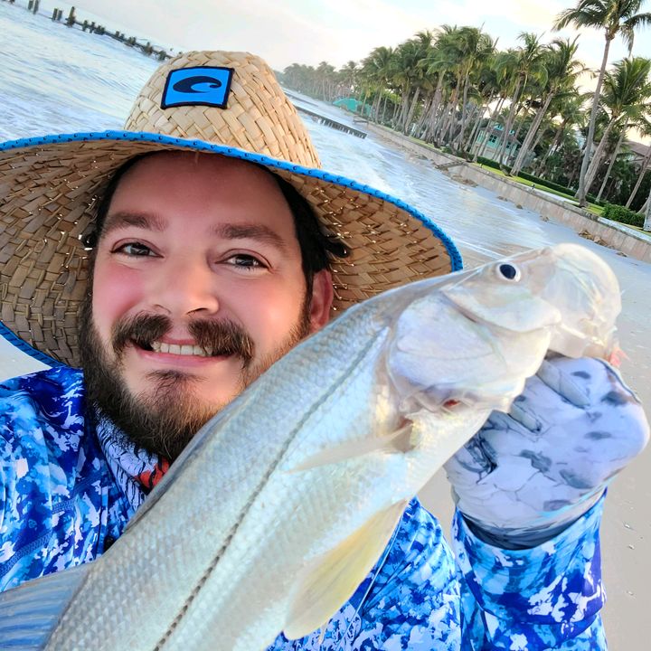 Profile Picture of David Verbruggen (@davidverb1) on Tiktok