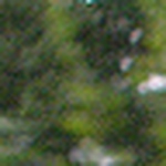 Profile Picture of Ron Freeman (@rpfreeman) on Flickr