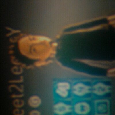 Profile Picture of Scott Sundquist (@Str33tZL3acY) on Twitter